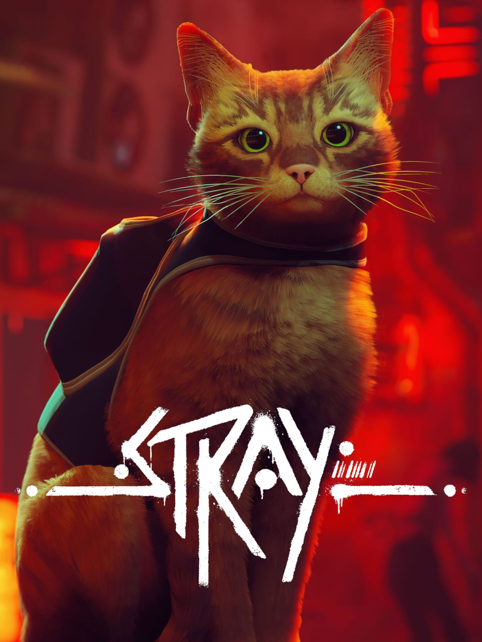 Stray cover. Stray игра. Stray кот. Игра про кота 2022 Stray. Игра про кота в киберпанке.